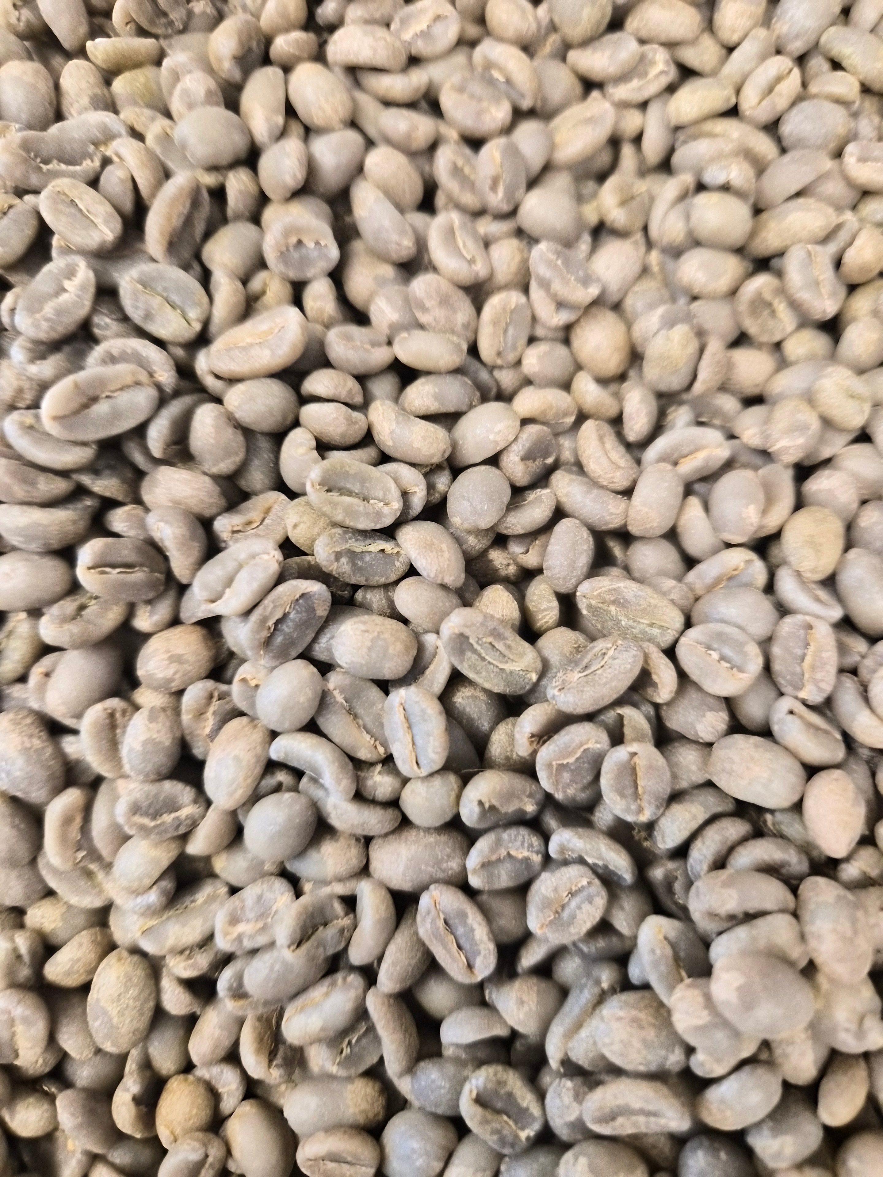 Ethiopia — green beans