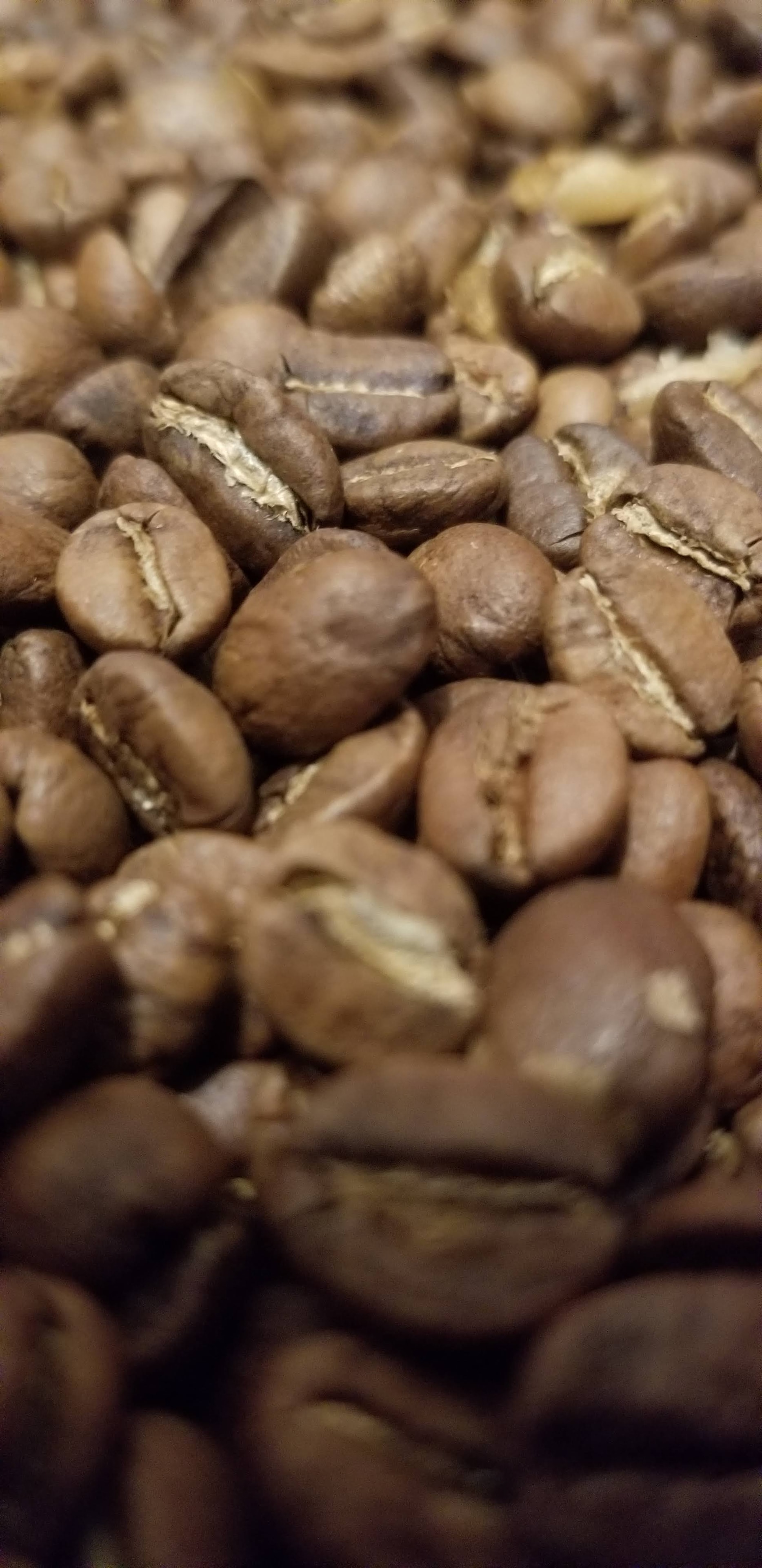 Coffee lot close-up